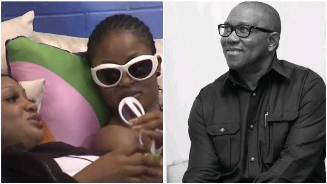 Peter Obi/BBNaija/Labour Party/2023 election/PDP/APC Peter Obi/BBNaija/Labour Party/2023 election/PDP/APC