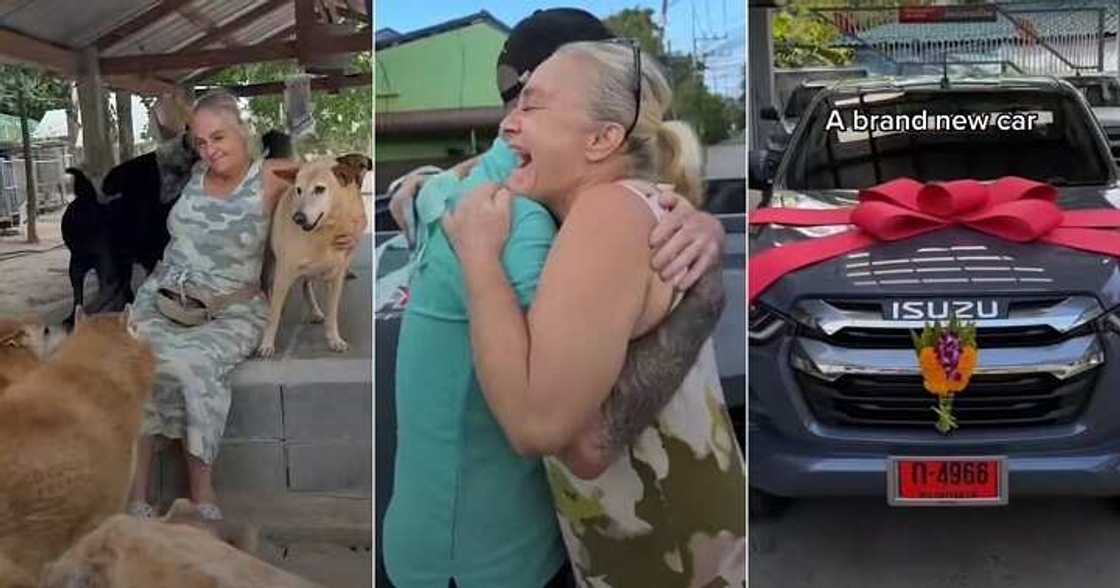 Dog rescuer gets car gift Dog rescuer gets car gift
