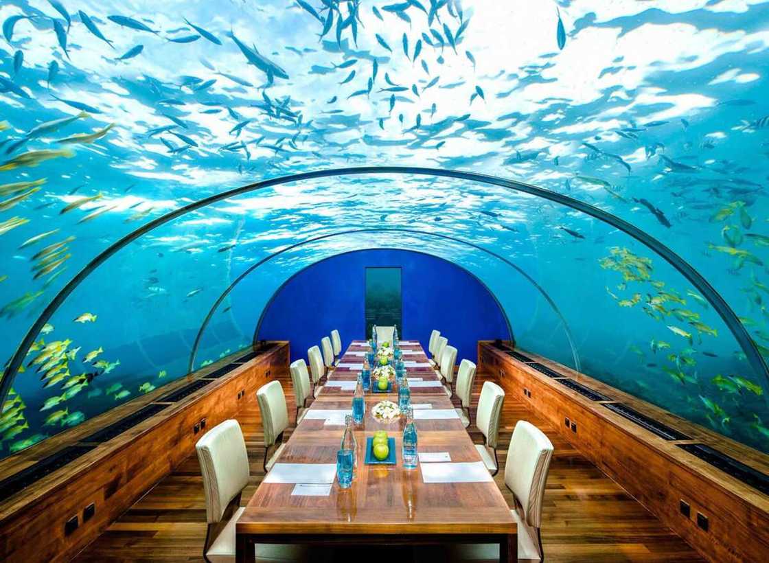 most expensive restaurants ever most expensive restaurants ever