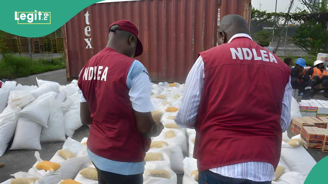 NDLEA has been praised for their relentless efforts against drug abuse. NDLEA has been praised for their relentless efforts against drug abuse.