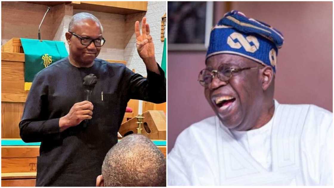 Peter Obi/Bola Tinubu/APC/Labour Party/2023 Election Peter Obi/Bola Tinubu/APC/Labour Party/2023 Election