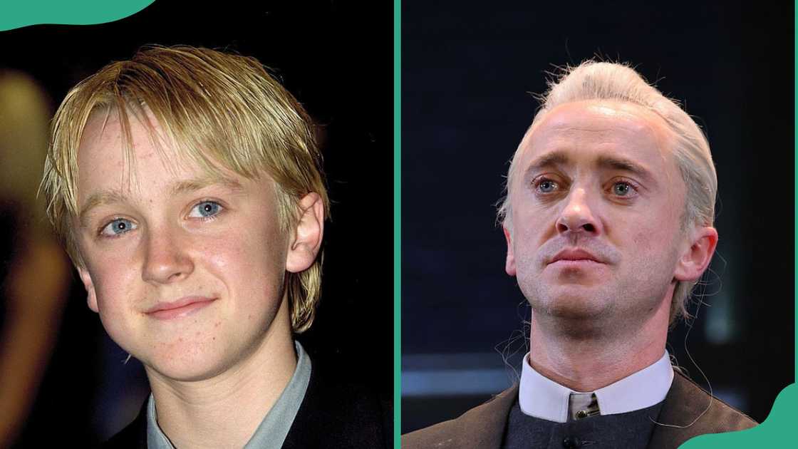 Actor Tom Felton Actor Tom Felton