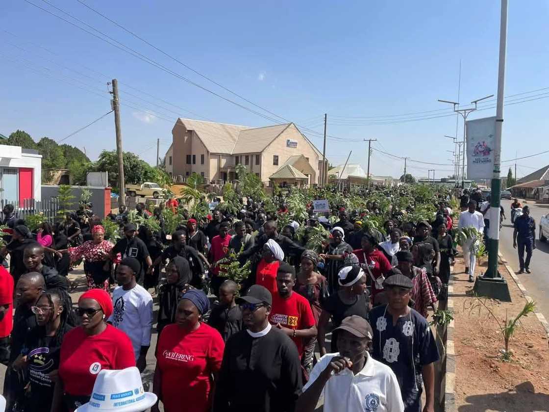 Zanga zanga. Zanga zanga.