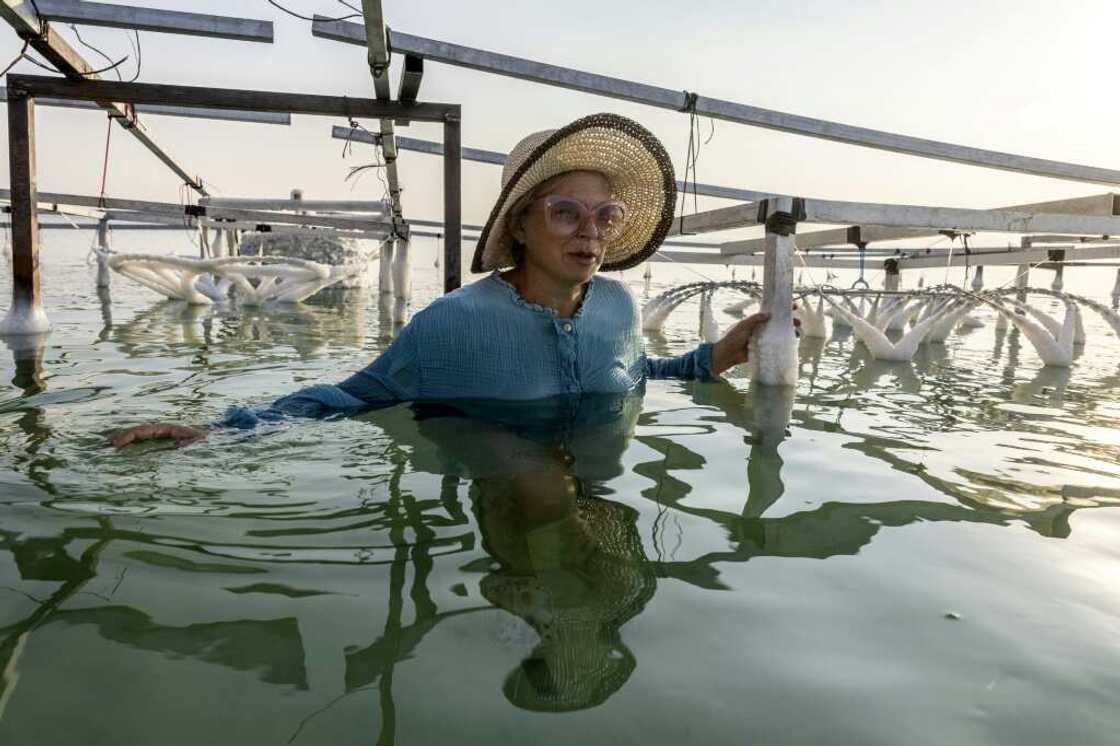 Landau wades into the waters of the Dead Sea to inspect her latest creations -- everyday objects coated in salt crystals that glisten in the sun Landau wades into the waters of the Dead Sea to inspect her latest creations -- everyday objects coated in salt crystals that glisten in the sun