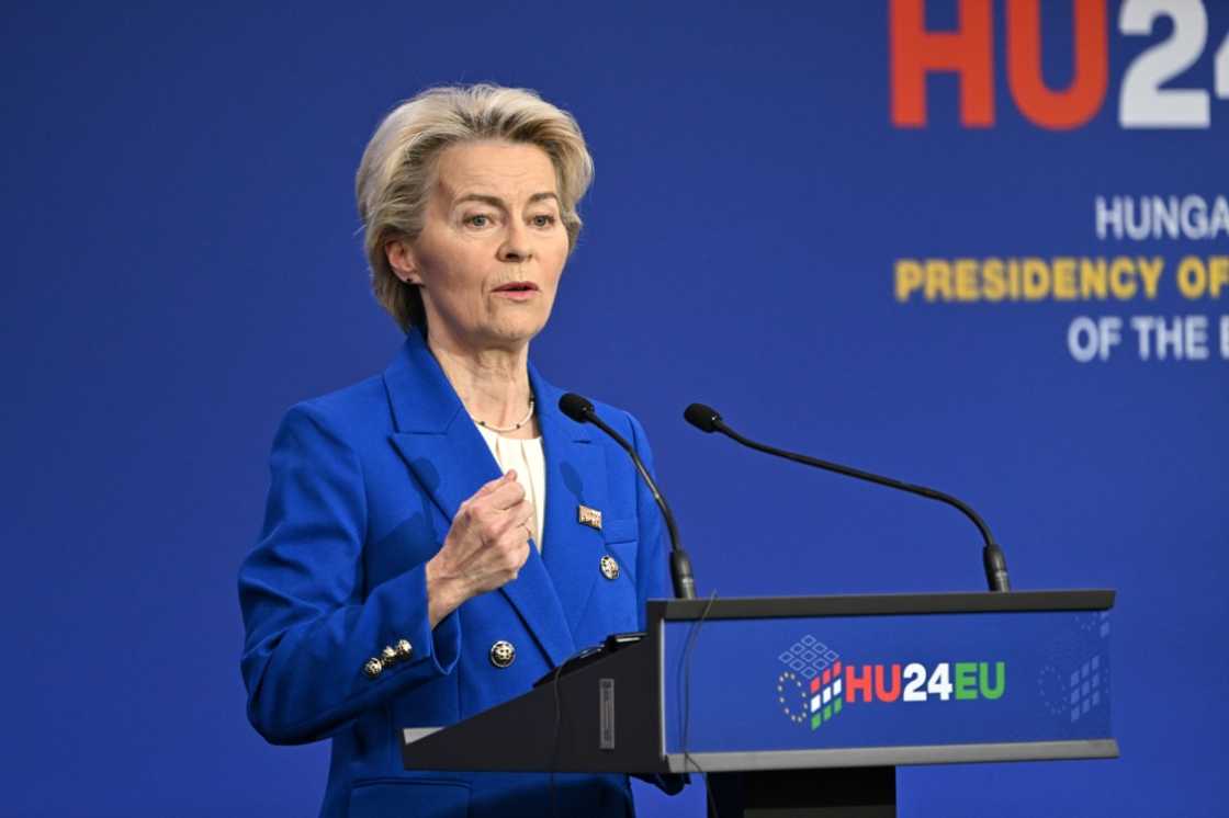 EU chief Ursula von der Leyen admits it will be 'a big task' to get all members of the European and Mercosur blocs behind the trade deal