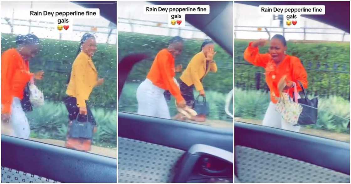 Rain, fine girls, help Rain, fine girls, help