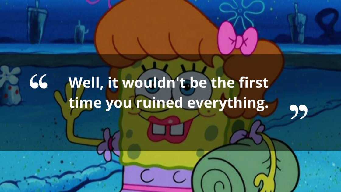 50+ classic SpongeBob quotes for every occasion imaginable - Legit.ng