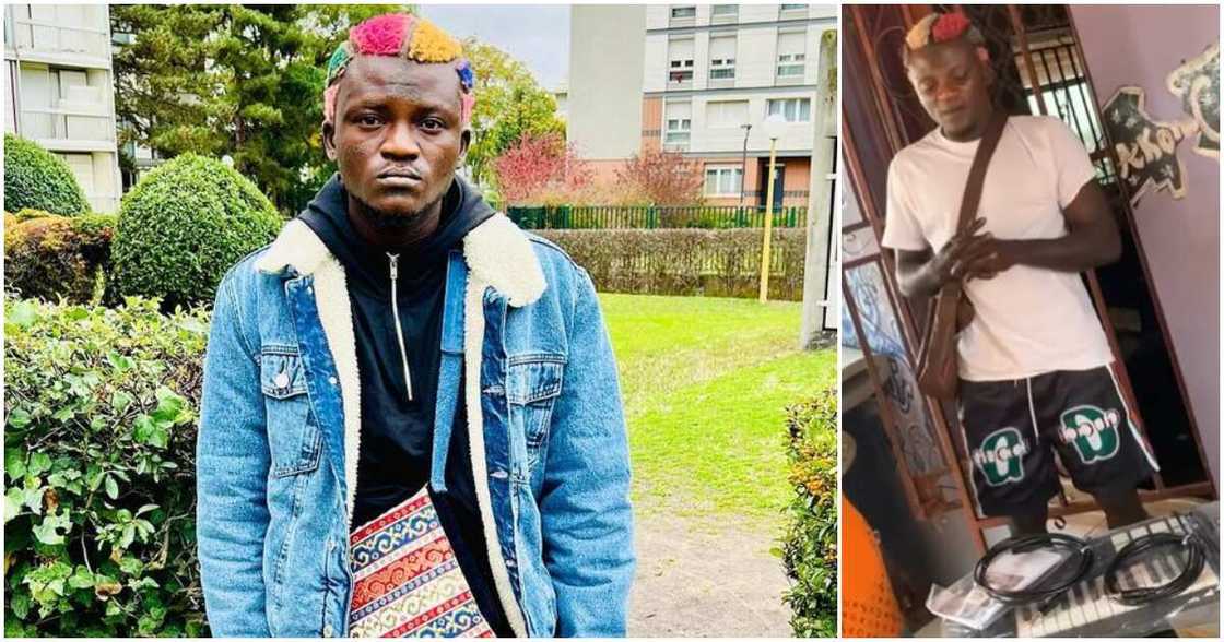 Portable Zazu, studio Portable Zazu, studio