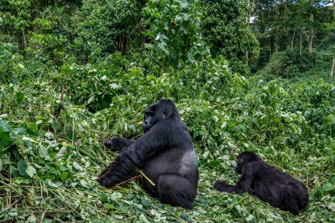 Best African countries to visit Best African countries to visit