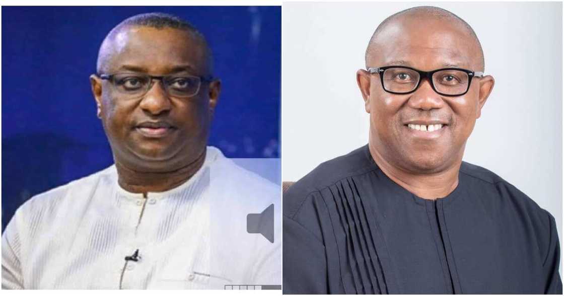 Peter Obi, 2023 elections, Peter Obi, Festus Keyamo, Labour Party, Bola Tinubu, APC Peter Obi, 2023 elections, Peter Obi, Festus Keyamo, Labour Party, Bola Tinubu, APC