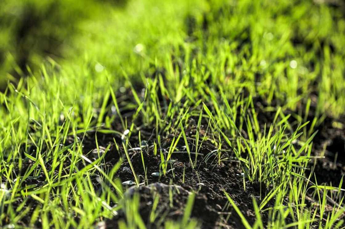 The World Weather Attribution group says human-caused climate change had made drought about 25 times more likely in Syria The World Weather Attribution group says human-caused climate change had made drought about 25 times more likely in Syria