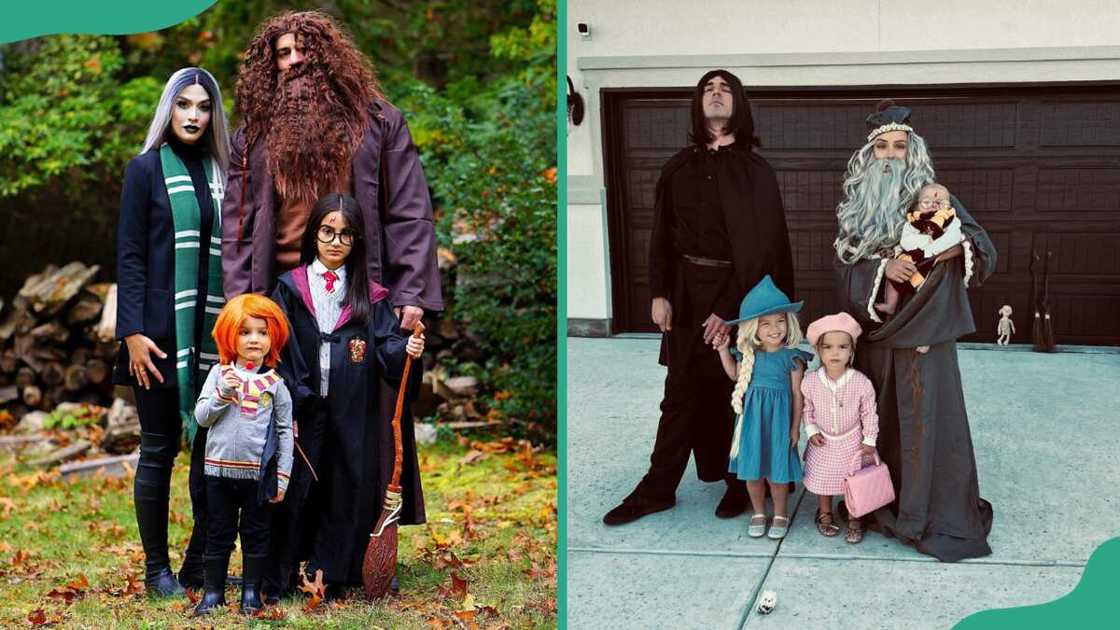 Harry Potter costume Harry Potter costume