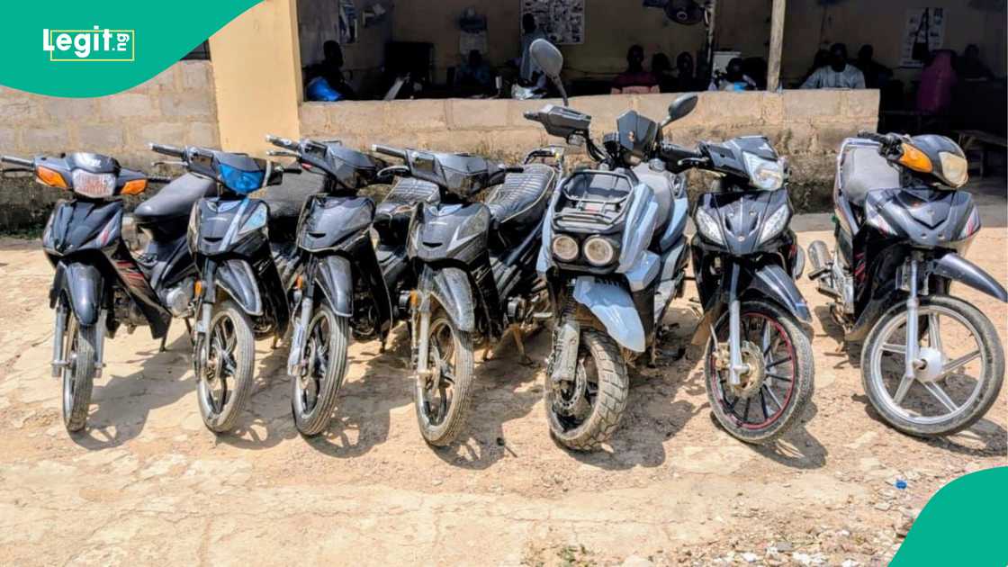 Babura 7 da 'yan sanda suka kwato a jihar Kano Babura 7 da 'yan sanda suka kwato a jihar Kano