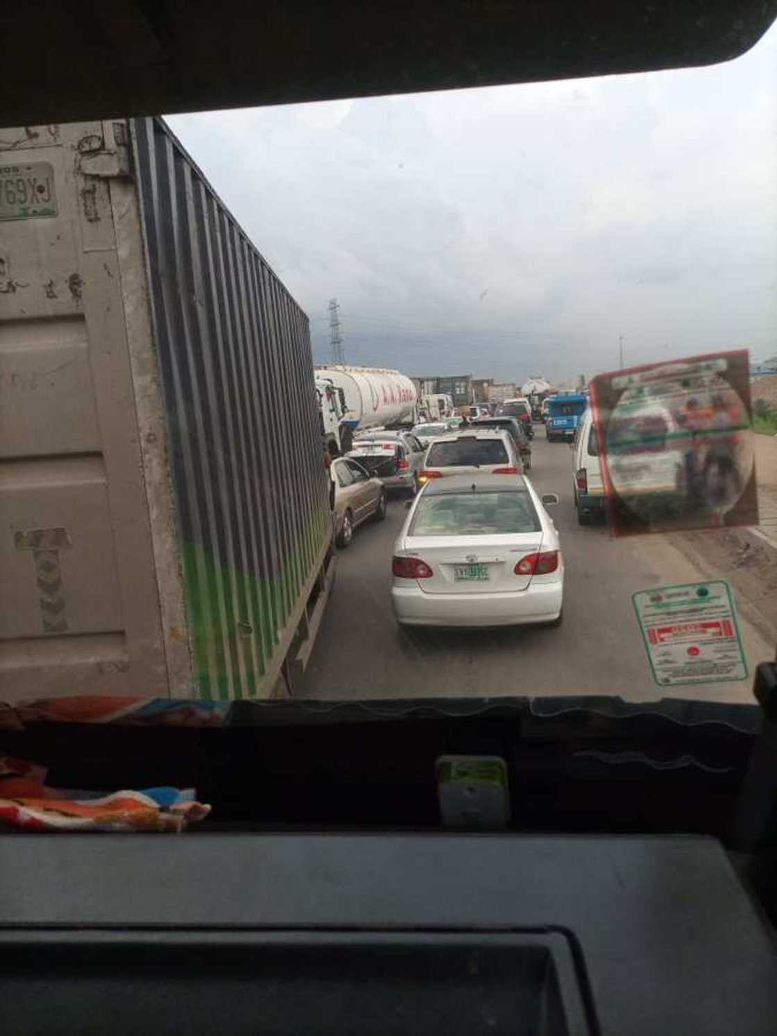 Protest as cows cause accident on Lagos-Ibadan expressway Protest as cows cause accident on Lagos-Ibadan expressway