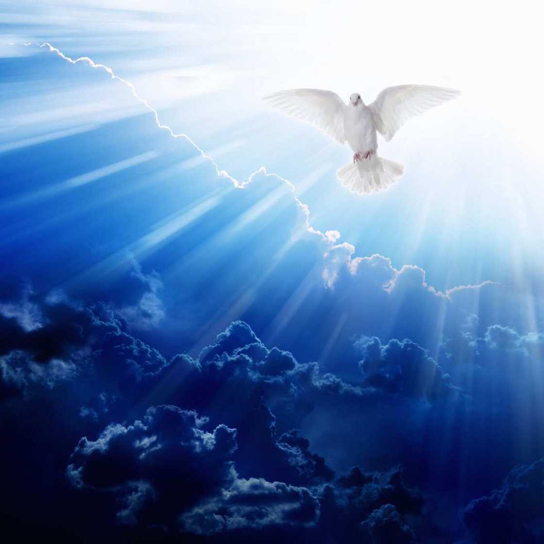 Holy Spirit in Bible Holy Spirit in Bible