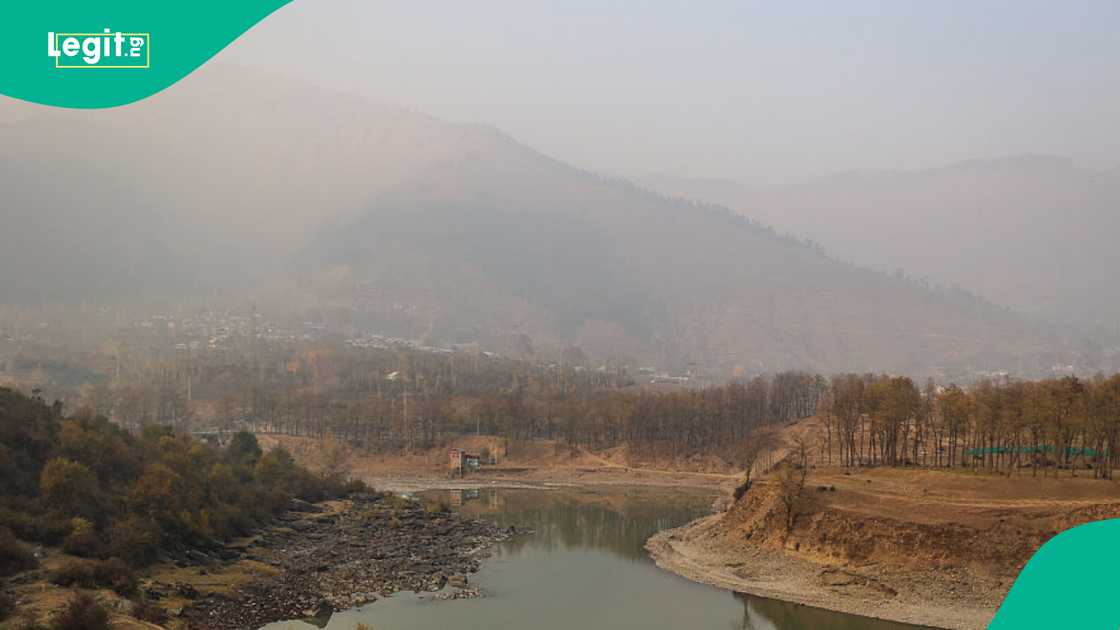 Rising climate anxiety among children highlighted the need for inclusive COP30 discussions and global accountability.