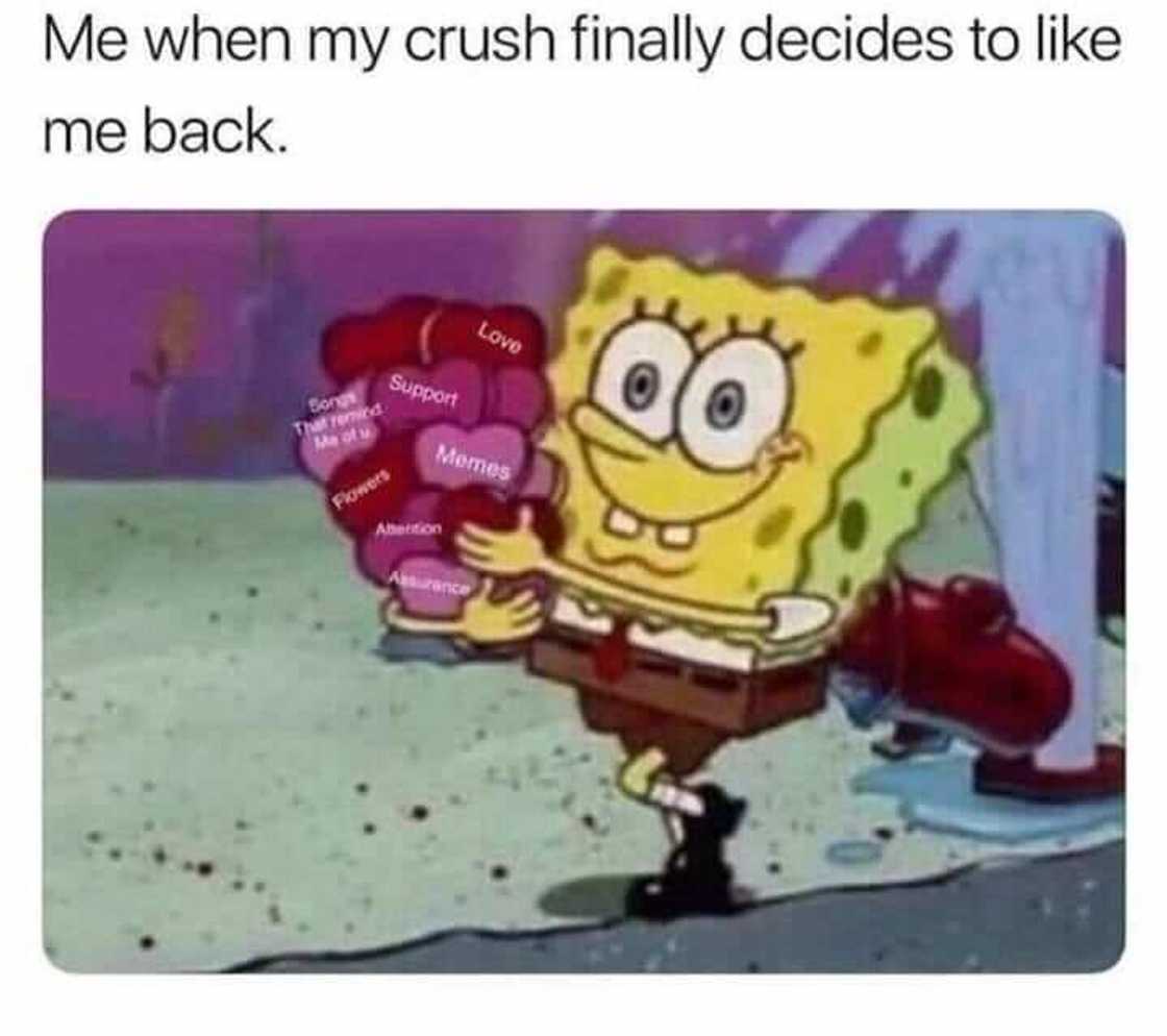 flirty memes for him flirty memes for him