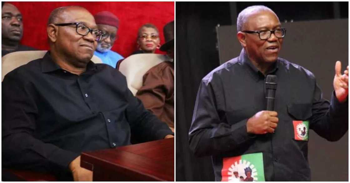 Peter Obi in court/ Court admits Obi's exhibits/ Obi challenges Tinubu in court/ Presidential Election Tribunal/ Labour Party