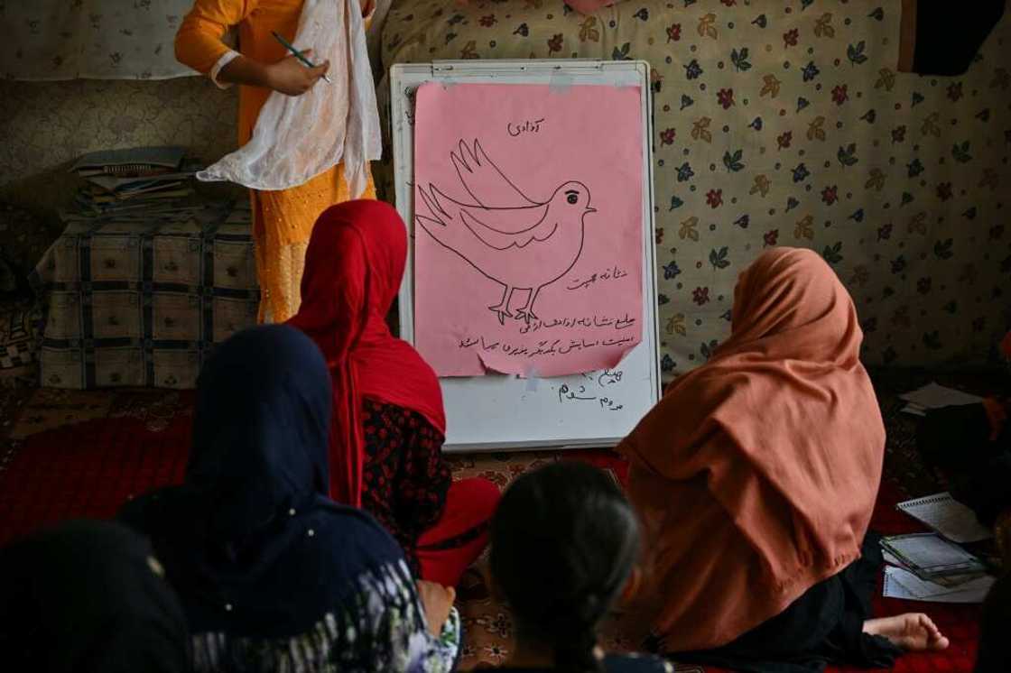 Hundreds of thousands of girls and young women have been deprived of the chance of education since the Taliban returned to power a year ago, but their thirst for learning has not lessened Hundreds of thousands of girls and young women have been deprived of the chance of education since the Taliban returned to power a year ago, but their thirst for learning has not lessened
