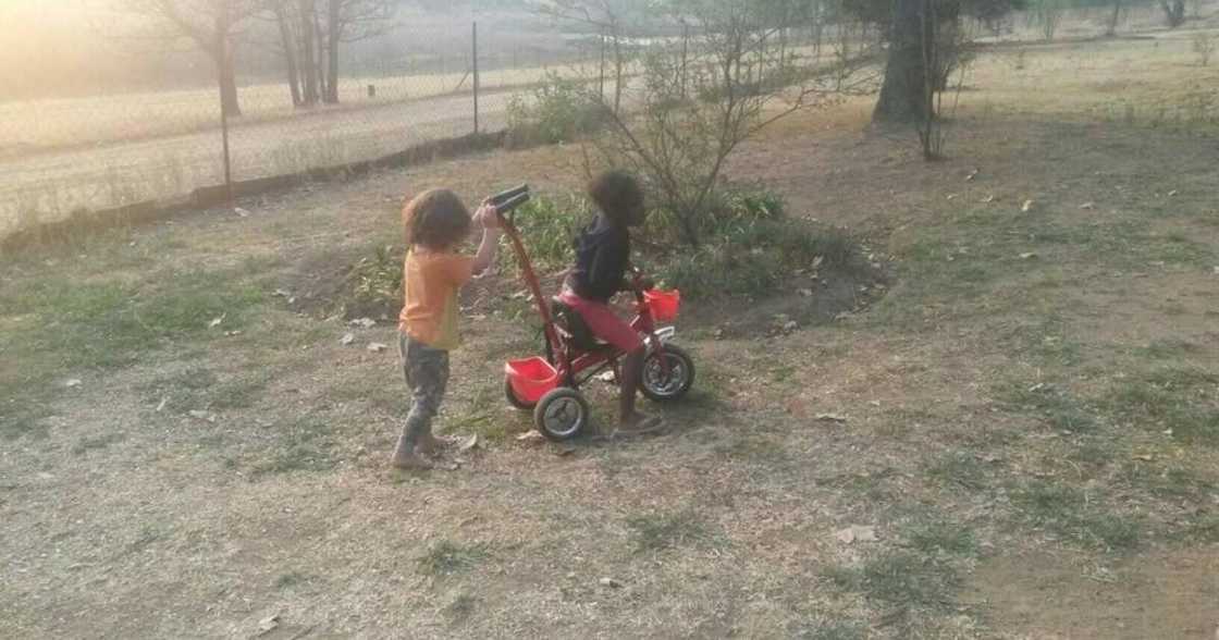 A picture of 2 sweet little girls playing together has gone viral A picture of 2 sweet little girls playing together has gone viral