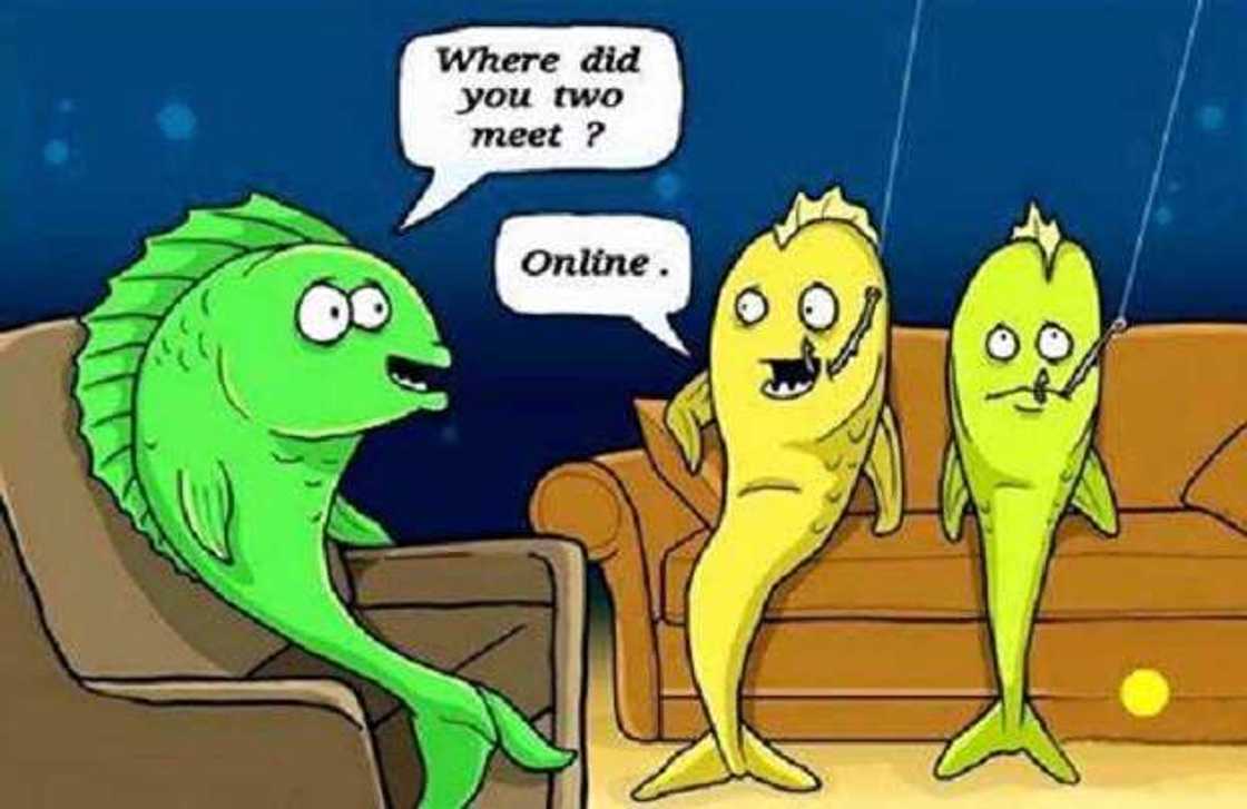 Funny Wednesday memes Funny Wednesday memes