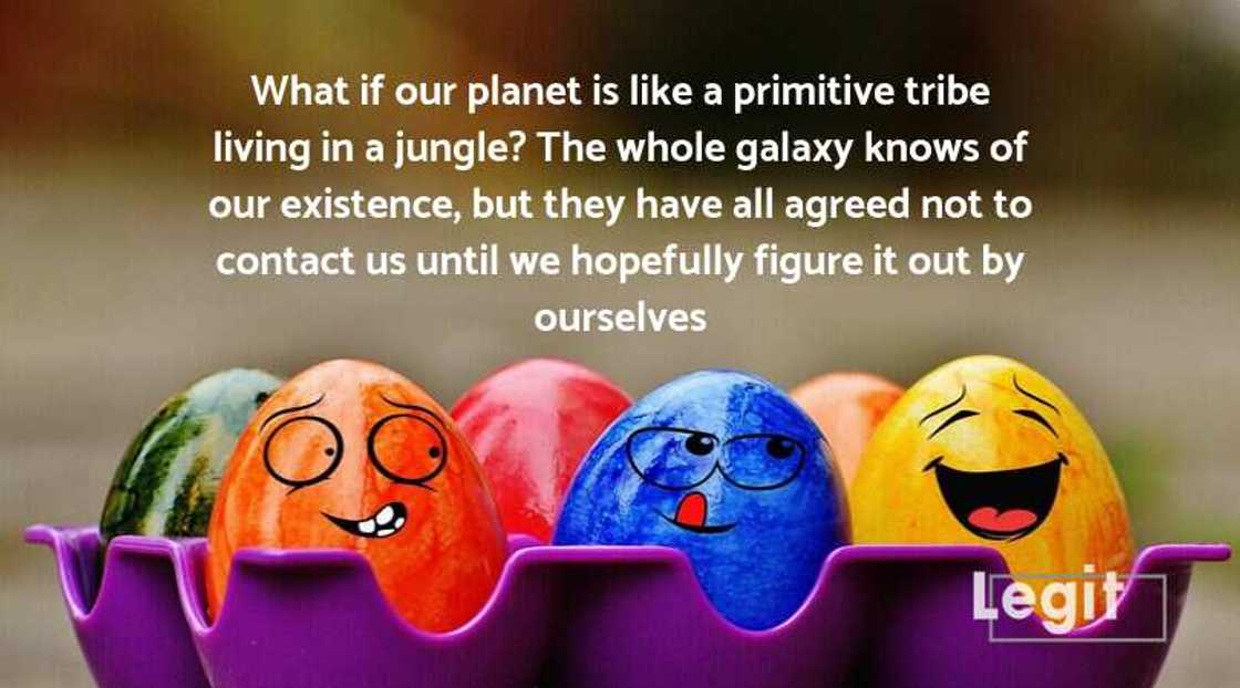 funny deep thoughts funny deep thoughts