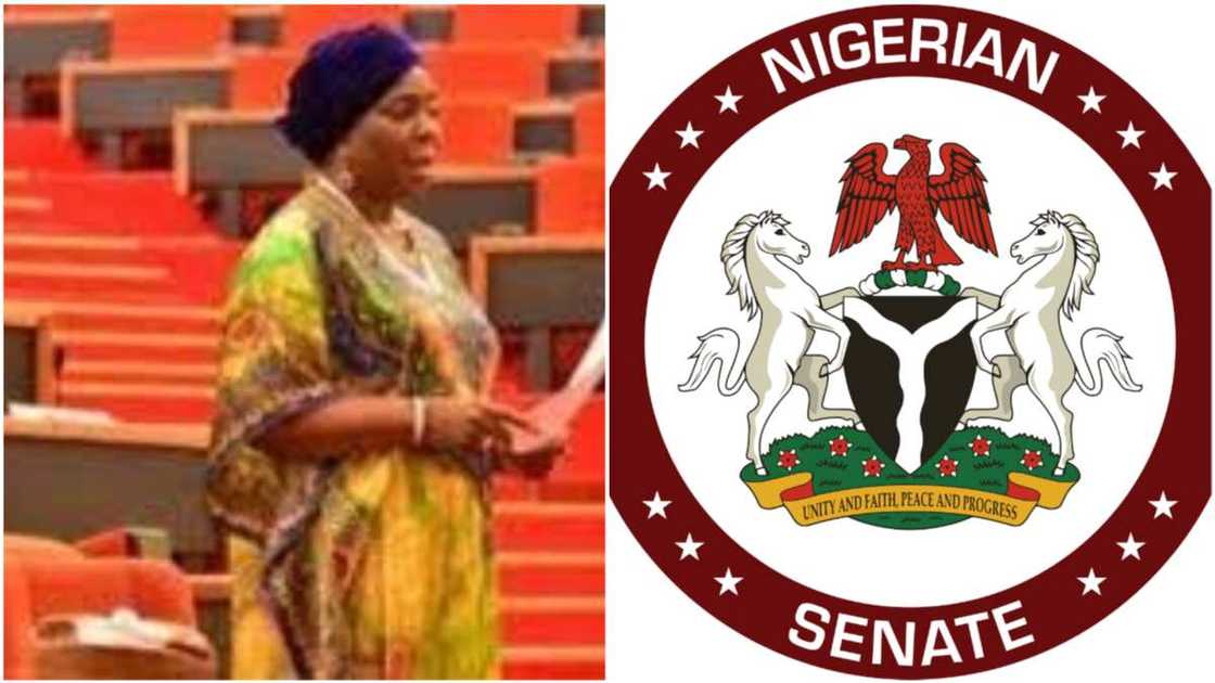 Biodun Olujimi/Senate/Nigeria Senate/Gender Equality/Child Marriage