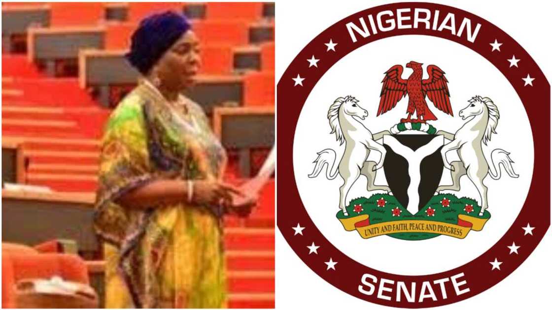 Biodun Olujimi/Senate/Nigeria Senate/Gender Equality/Child Marriage Biodun Olujimi/Senate/Nigeria Senate/Gender Equality/Child Marriage