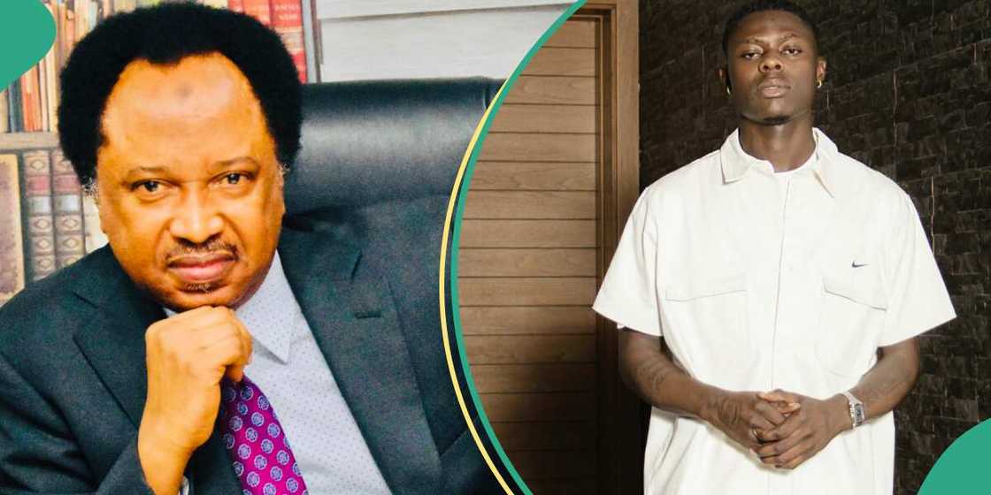 Shehu Sani reacts to Mohbad's death