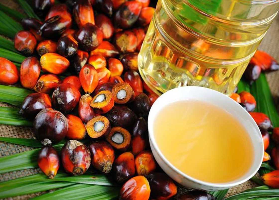 Does palm kernel oil lighten the skin Does palm kernel oil lighten the skin