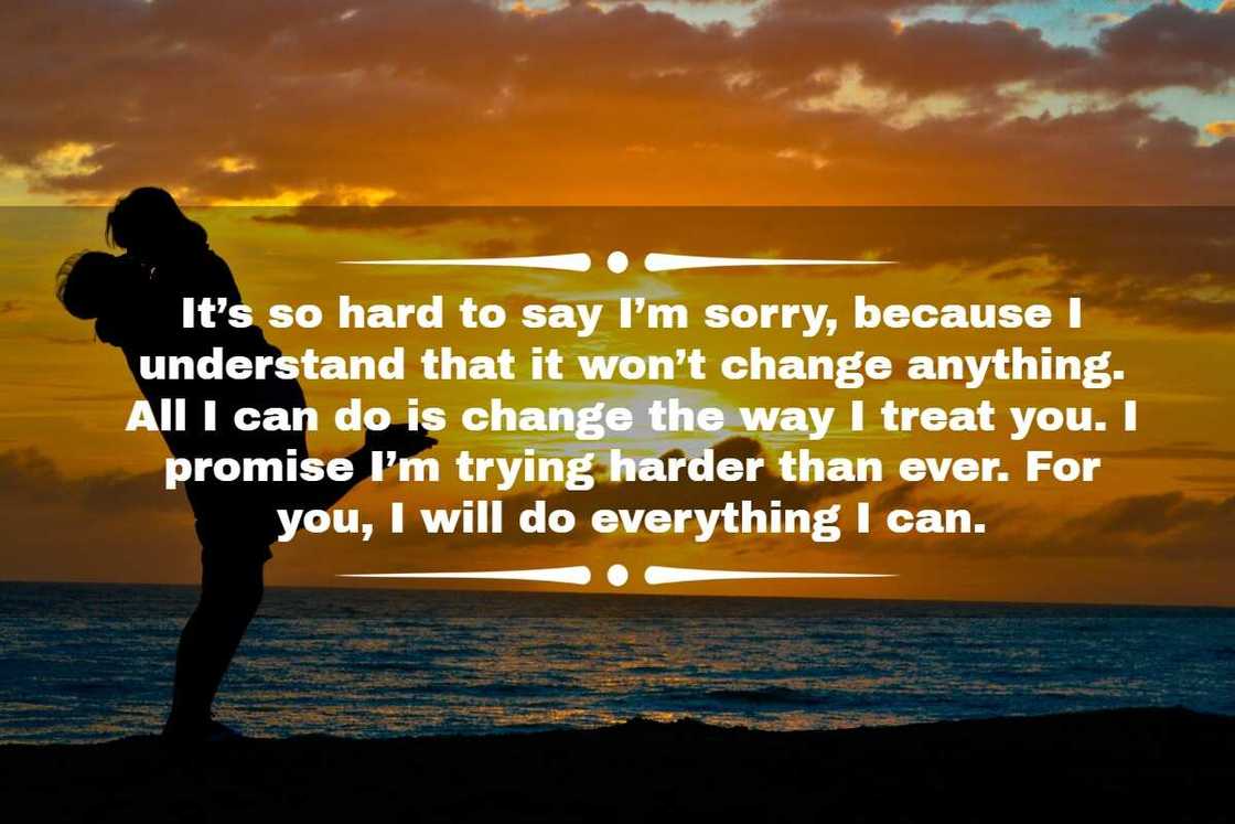 sorry quotes for a relationship