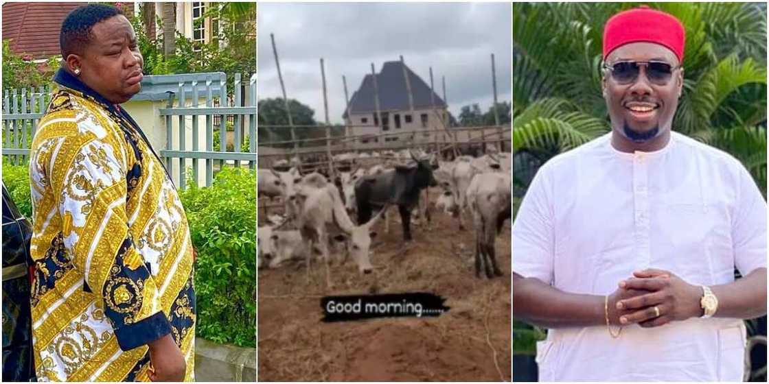 Cubana Chiefpriest and Obi Cubana Cubana Chiefpriest and Obi Cubana