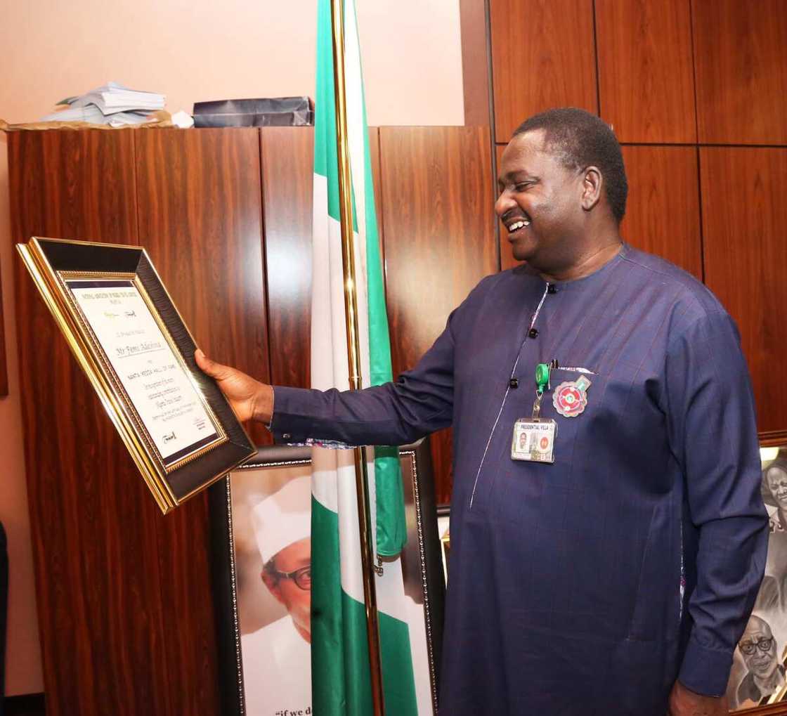 Femi Adesina