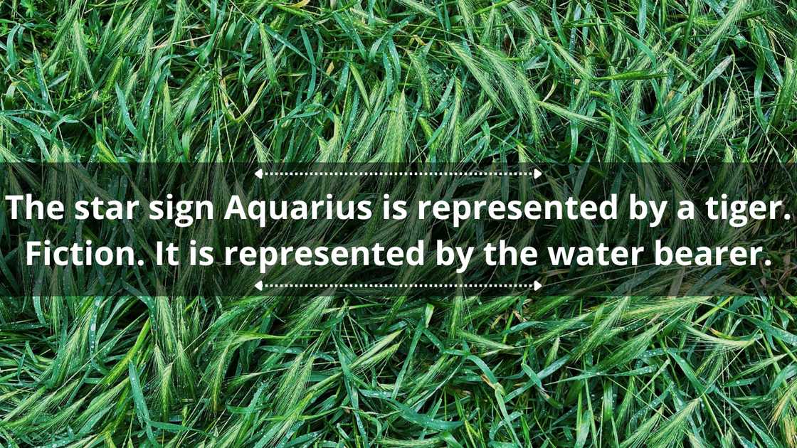 Fun fact or fiction questions Fun fact or fiction questions