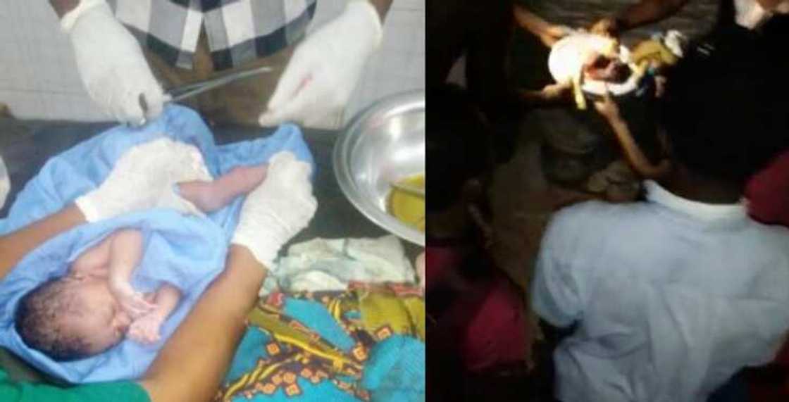 Newborn baby hanging from a barbed wire in a hostel is rescued after her mother tried to throw her over the fence Newborn baby hanging from a barbed wire in a hostel is rescued after her mother tried to throw her over the fence