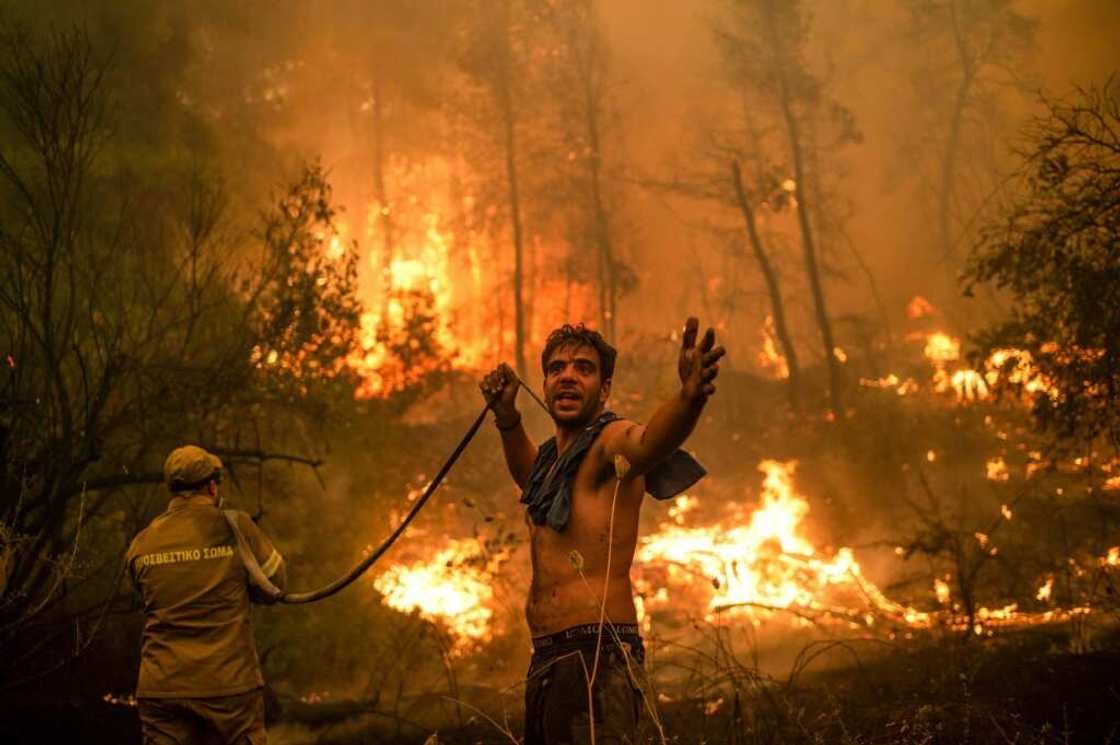Greenhouse gas emissions continue to grow, despite scientists warning of the deadly consequences Greenhouse gas emissions continue to grow, despite scientists warning of the deadly consequences