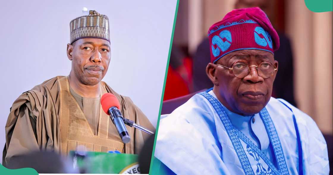Governor Zulum criticizes new tax reform bill Governor Zulum criticizes new tax reform bill