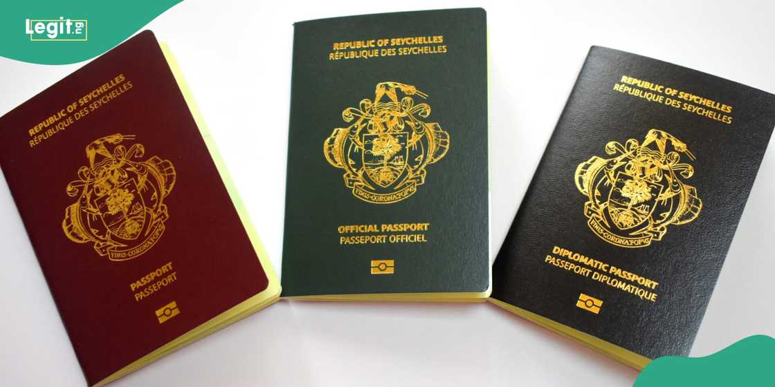 10 Africa’s most powerful passports in January 2026