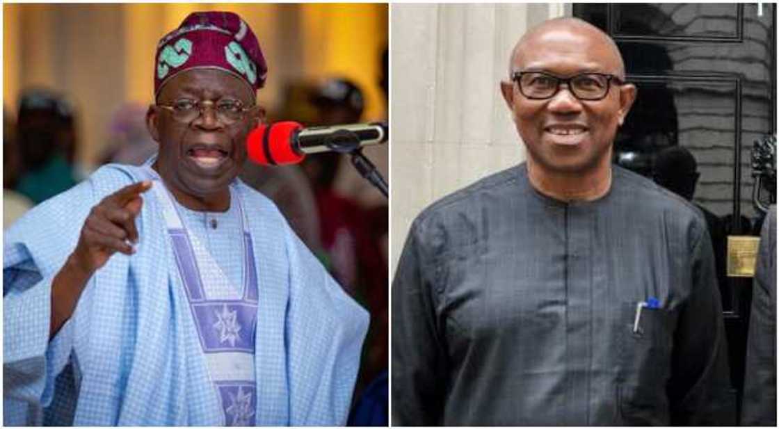 Tinubu, Obi Tinubu, Obi