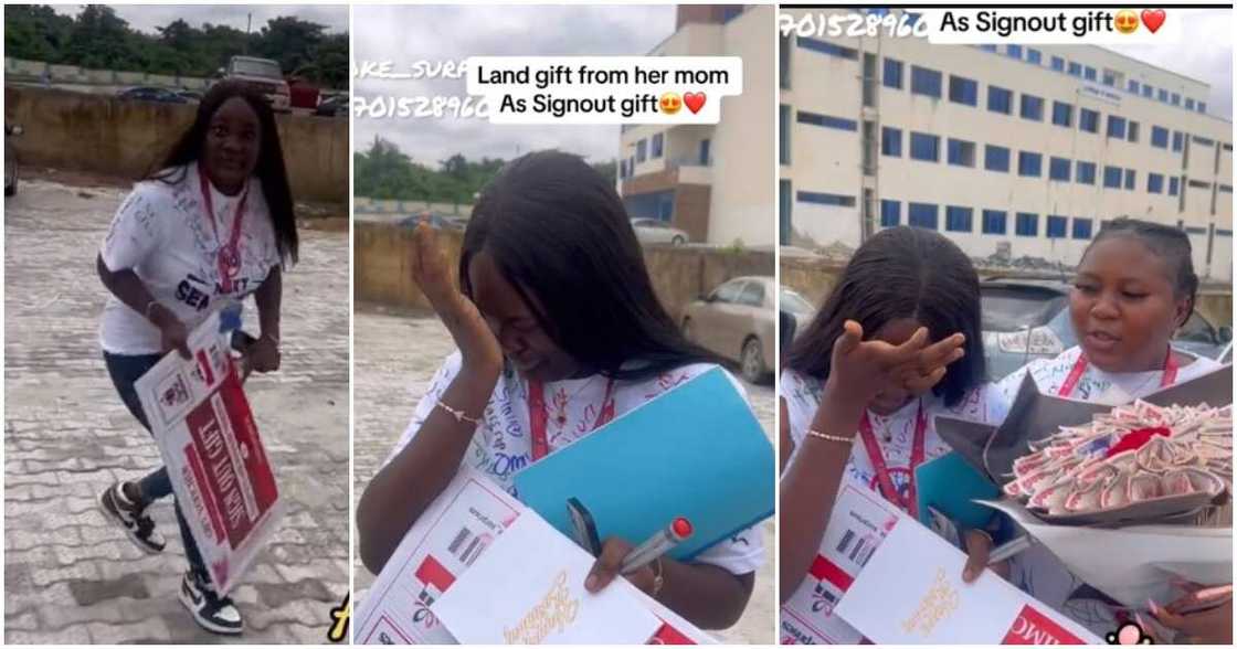 Nigerian lady, land, gift Nigerian lady, land, gift