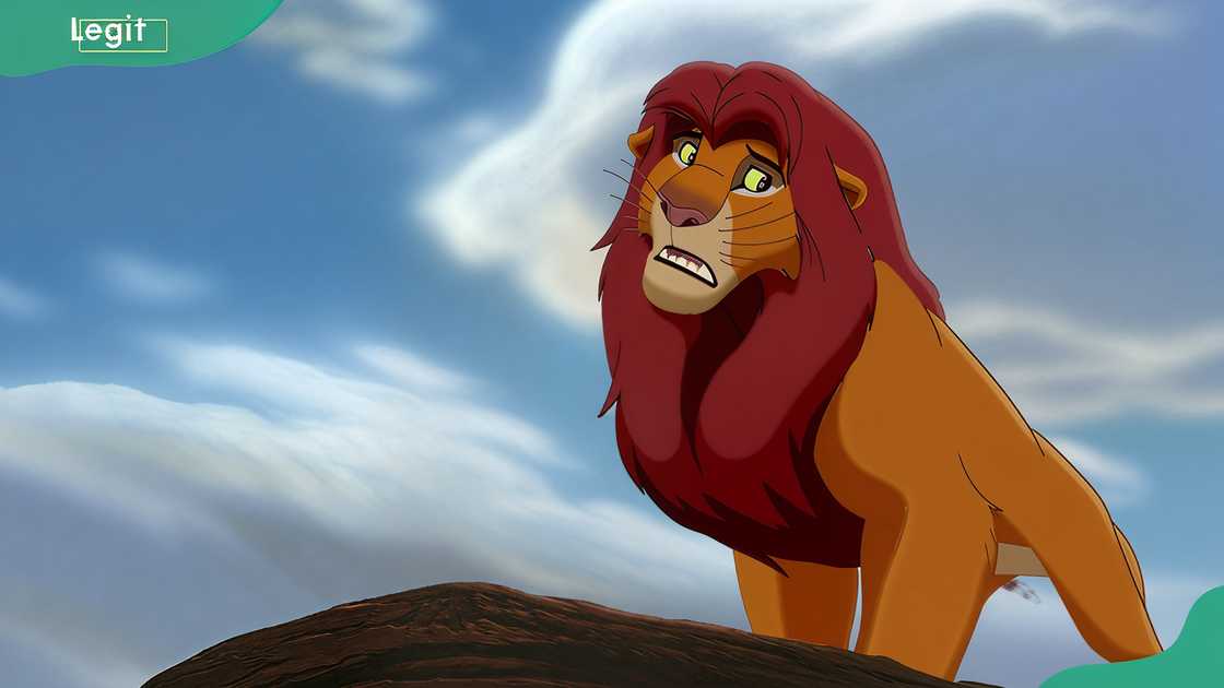 Simba Simba
