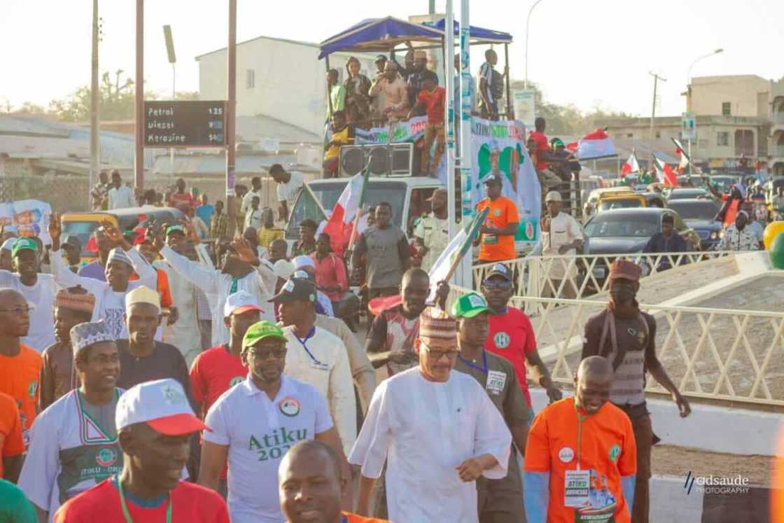 PDP New Generation PDP New Generation