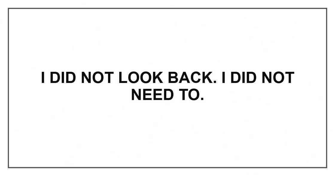 I did not look back. I did not need to. I did not look back. I did not need to.