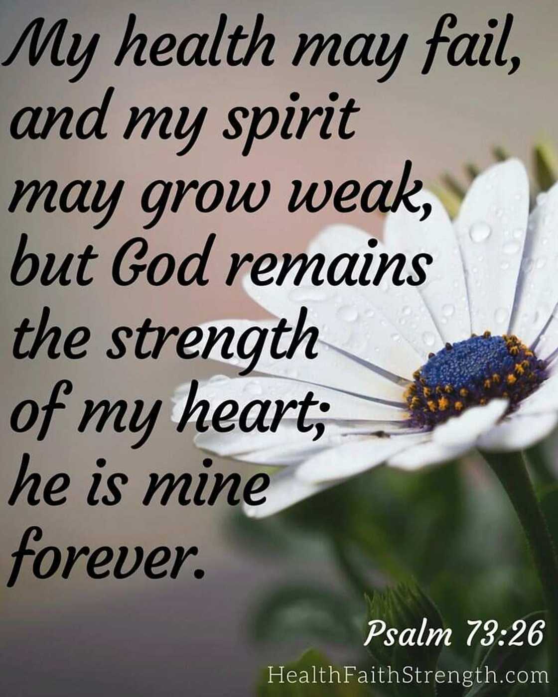 Bible verses for healing Bible verses for healing