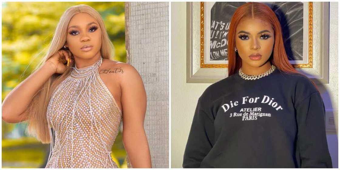 BBNaija: Beatrice shades Liquorose's camp BBNaija: Beatrice shades Liquorose's camp