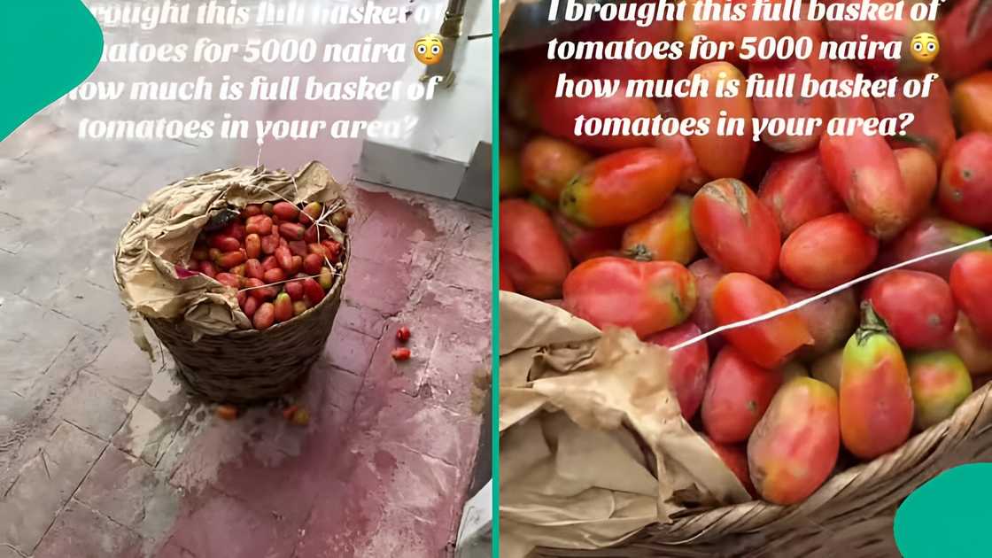 Nigerian woman goes viral after posting price of tomato basket Nigerian woman goes viral after posting price of tomato basket