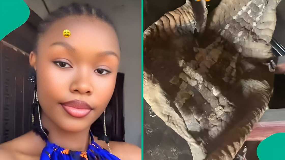 Young lady posts unusual discovery at grandma’s, asks social media for answers