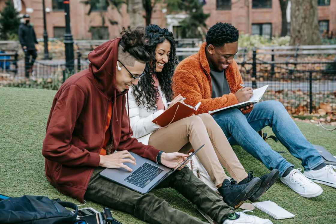 Cheerful classmates studying in the park.