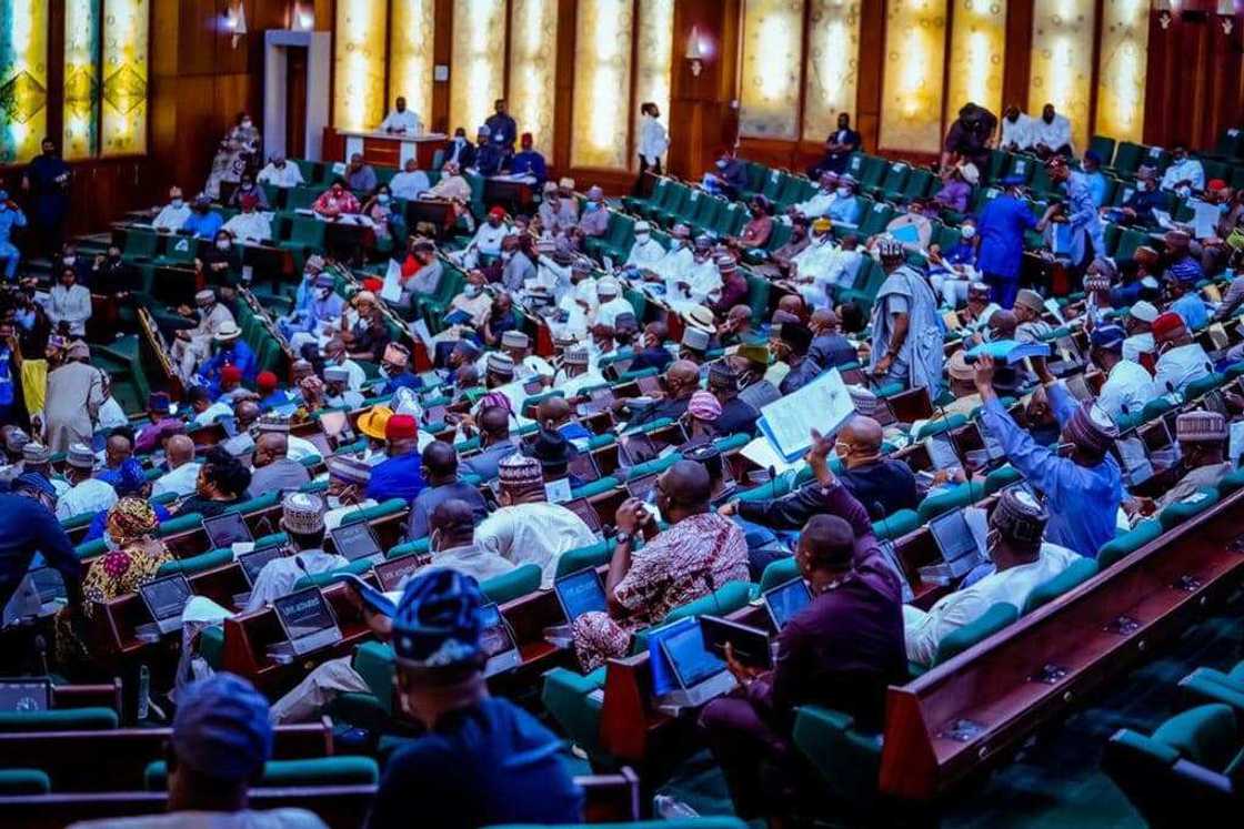 Constituency Projects: Adamawa Lawmaker Opens Up, Reveals Huge Amount Each Rep Gets Constituency Projects: Adamawa Lawmaker Opens Up, Reveals Huge Amount Each Rep Gets