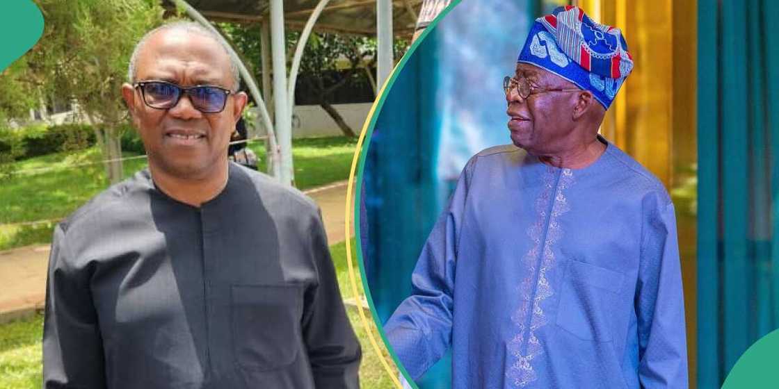 Peter Obi/Peter Obi news/Peter Obi news today Peter Obi/Peter Obi news/Peter Obi news today